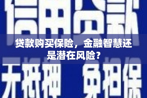 云浮贷款购买保险，金融智慧还是潜在风险？