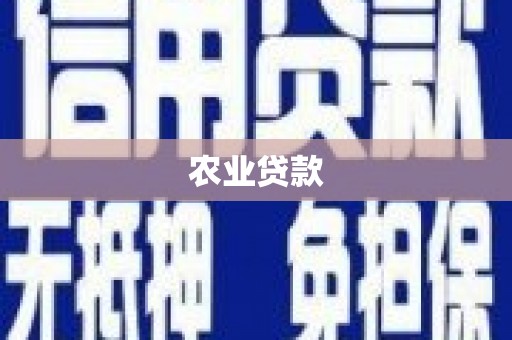 云浮农业贷款