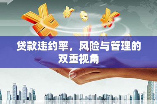 云浮贷款违约率，风险与管理的双重视角