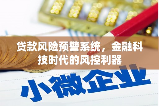 云浮贷款风险预警系统，金融科技时代的风控利器