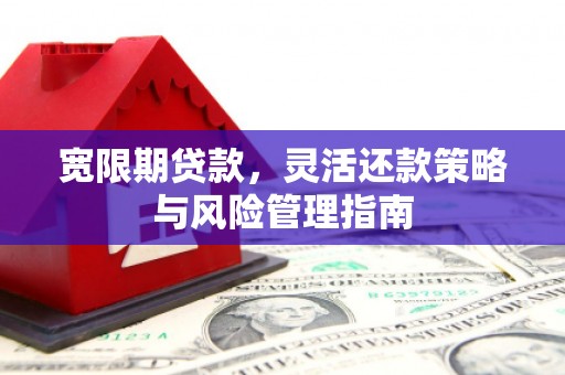 云浮宽限期贷款，灵活还款策略与风险管理指南