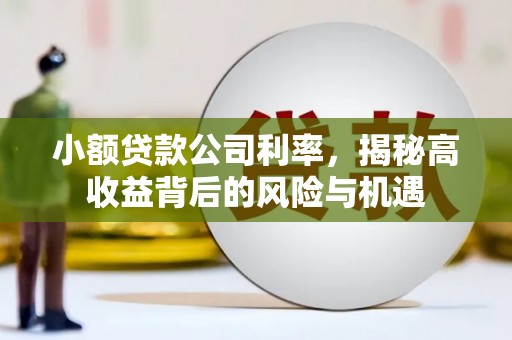 云浮小额贷款公司利率，揭秘高收益背后的风险与机遇