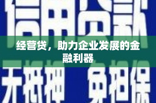 云浮经营贷，助力企业发展的金融利器