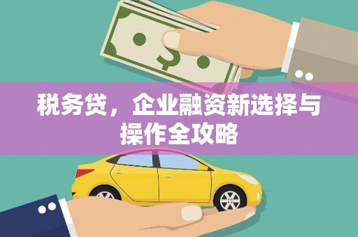 云浮税务贷，企业融资新选择与操作全攻略