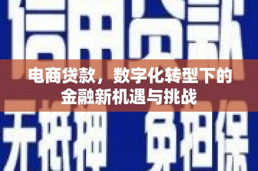 云浮电商贷款，数字化转型下的金融新机遇与挑战