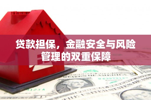 云浮贷款担保，金融安全与风险管理的双重保障