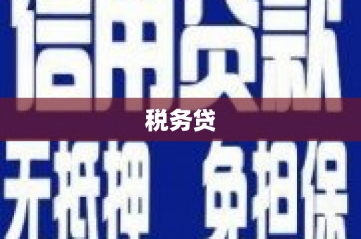云浮税务贷