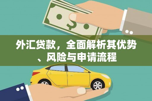 云浮外汇贷款，全面解析其优势、风险与申请流程