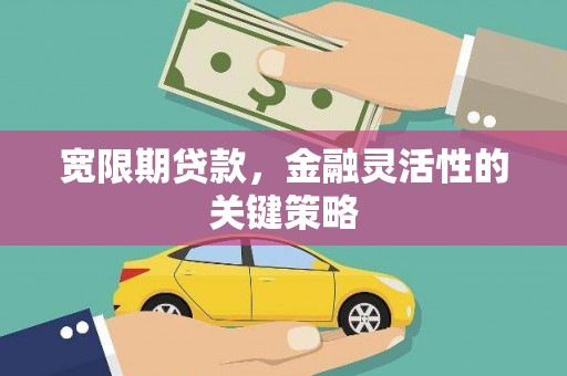 云浮宽限期贷款，金融灵活性的关键策略