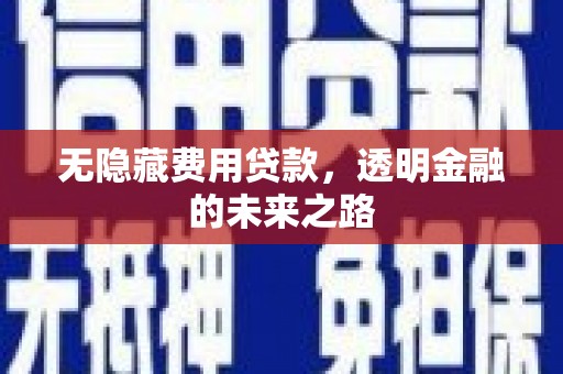 云浮无隐藏费用贷款，透明金融的未来之路