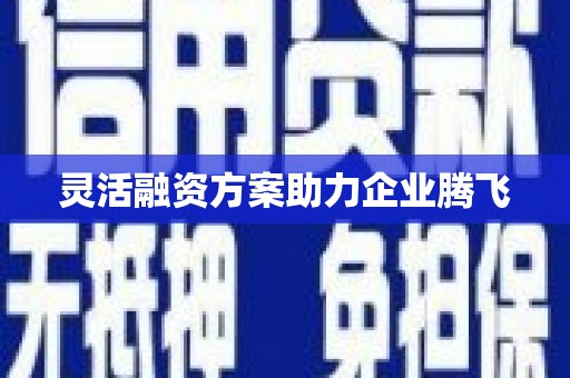 云浮灵活融资方案助力企业腾飞