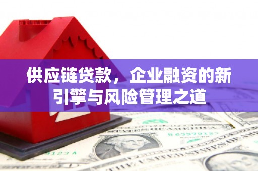云浮供应链贷款，企业融资的新引擎与风险管理之道