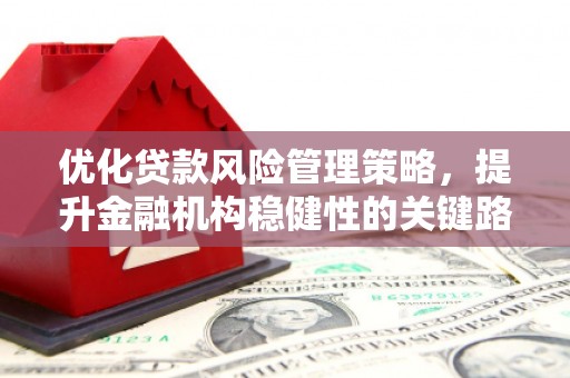 云浮优化贷款风险管理策略，提升金融机构稳健性的关键路径
