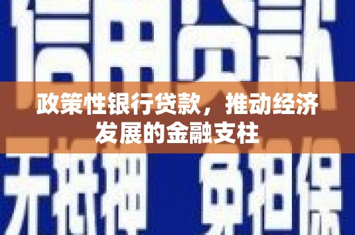 云浮政策性银行贷款，推动经济发展的金融支柱