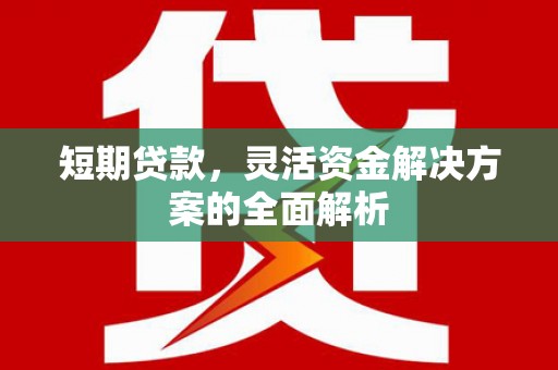 云浮短期贷款，灵活资金解决方案的全面解析