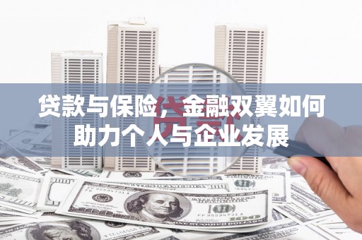 云浮贷款与保险，金融双翼如何助力个人与企业发展