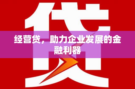 云浮经营贷，助力企业发展的金融利器