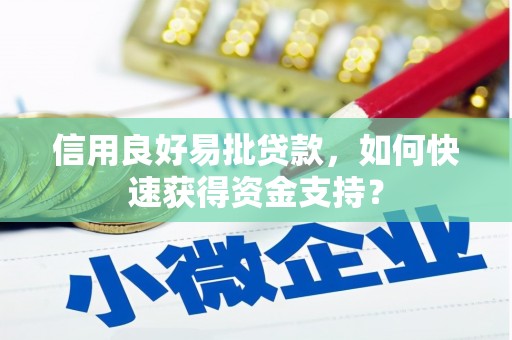 云浮信用良好易批贷款，如何快速获得资金支持？