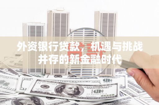 云浮外资银行贷款，机遇与挑战并存的新金融时代