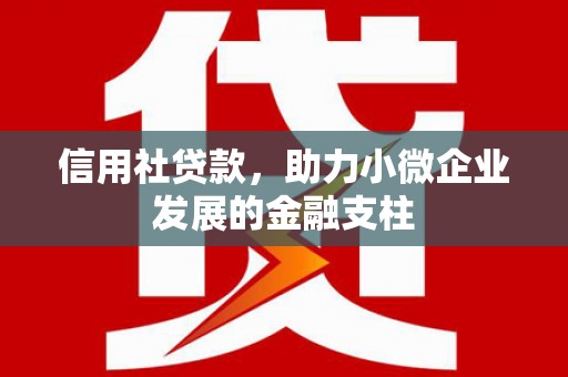 云浮信用社贷款，助力小微企业发展的金融支柱