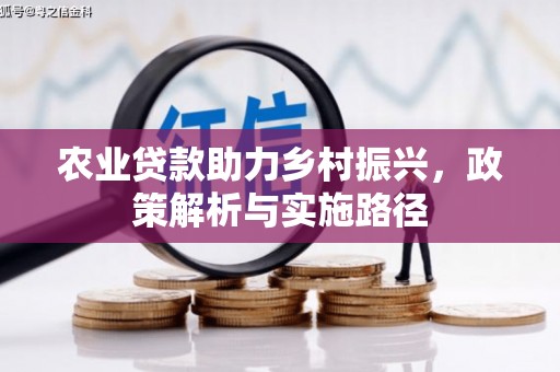 云浮农业贷款助力乡村振兴，政策解析与实施路径