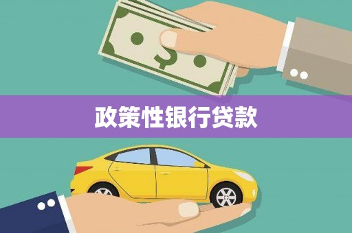 云浮政策性银行贷款