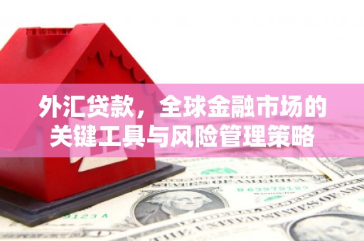 云浮外汇贷款，全球金融市场的关键工具与风险管理策略