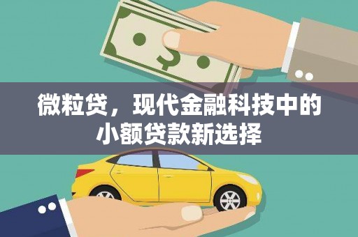 云浮微粒贷，现代金融科技中的小额贷款新选择