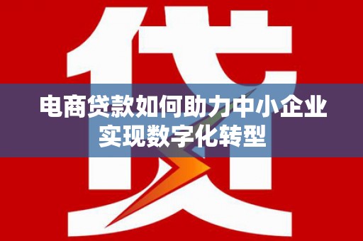 云浮电商贷款如何助力中小企业实现数字化转型