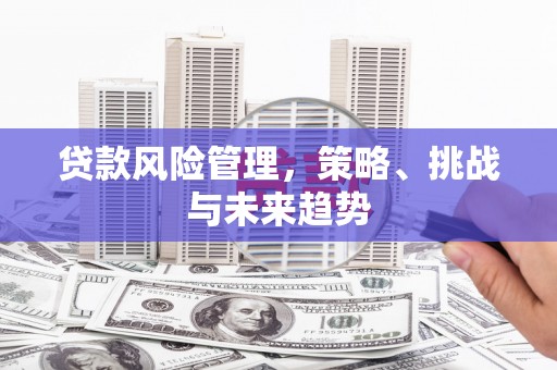 云浮贷款风险管理，策略、挑战与未来趋势