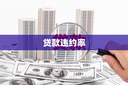 云浮贷款违约率