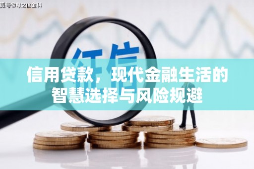 云浮信用贷款，现代金融生活的智慧选择与风险规避