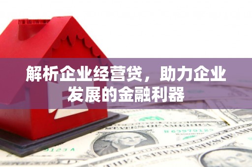 云浮解析企业经营贷，助力企业发展的金融利器