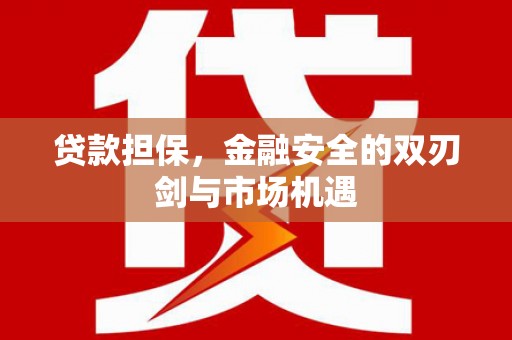 云浮贷款担保，金融安全的双刃剑与市场机遇