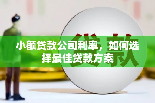 云浮小额贷款公司利率，如何选择最佳贷款方案