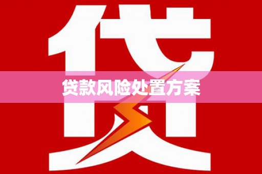 云浮贷款风险处置方案