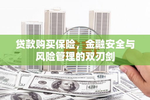 云浮贷款购买保险，金融安全与风险管理的双刃剑