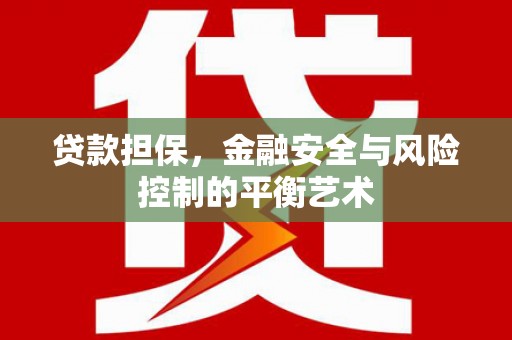 云浮贷款担保，金融安全与风险控制的平衡艺术