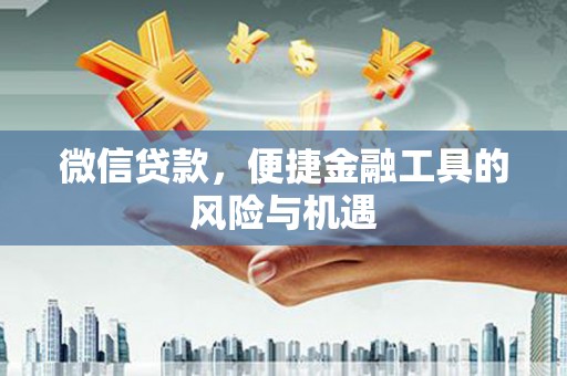 云浮微信贷款，便捷金融工具的风险与机遇