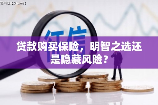 云浮贷款购买保险，明智之选还是隐藏风险？