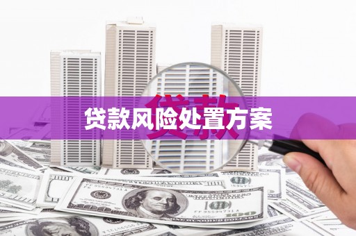 云浮贷款风险处置方案