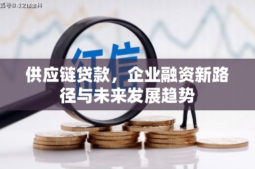 云浮供应链贷款，企业融资新路径与未来发展趋势