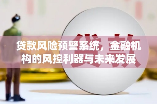 云浮贷款风险预警系统，金融机构的风控利器与未来发展