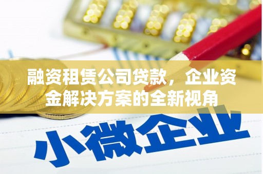 云浮融资租赁公司贷款，企业资金解决方案的全新视角