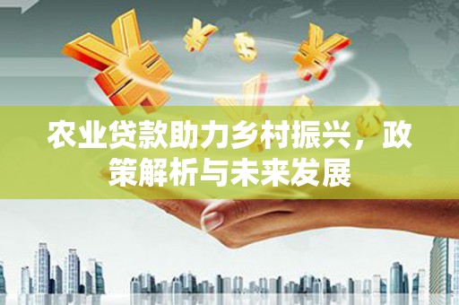 云浮农业贷款助力乡村振兴，政策解析与未来发展