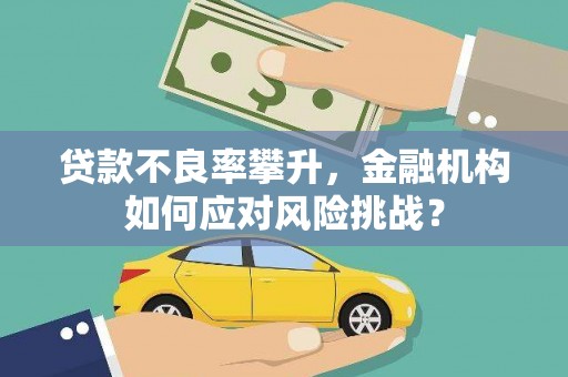 云浮贷款不良率攀升，金融机构如何应对风险挑战？