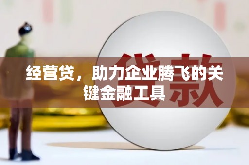 云浮经营贷，助力企业腾飞的关键金融工具