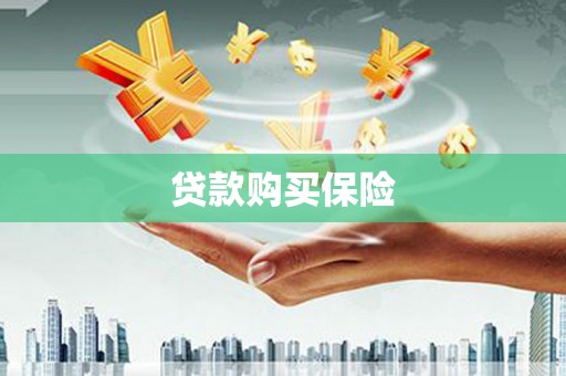 云浮贷款购买保险