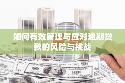 云浮如何有效管理与应对逾期贷款的风险与挑战
