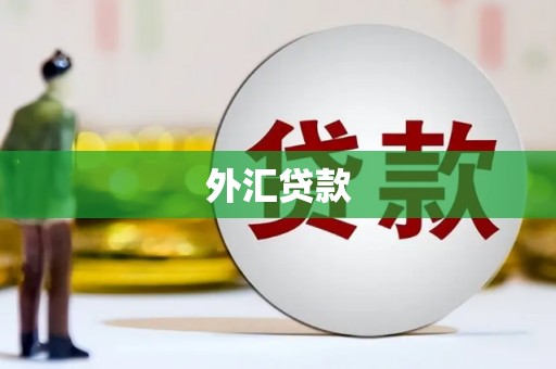 云浮外汇贷款